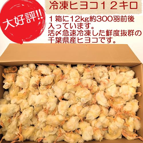 国産】冷凍ヒヨコ 心地よ 400羽 ふわふわ鮮度抜群す 