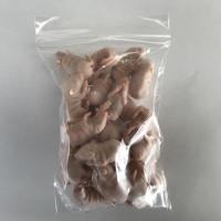 冷凍マウス 国産冷凍ピンクマウスL　25匹の販売情報イメージ2