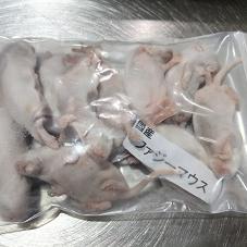 冷凍マウス 国産冷凍ファジーマウス(10匹入)の販売情報イメージ1